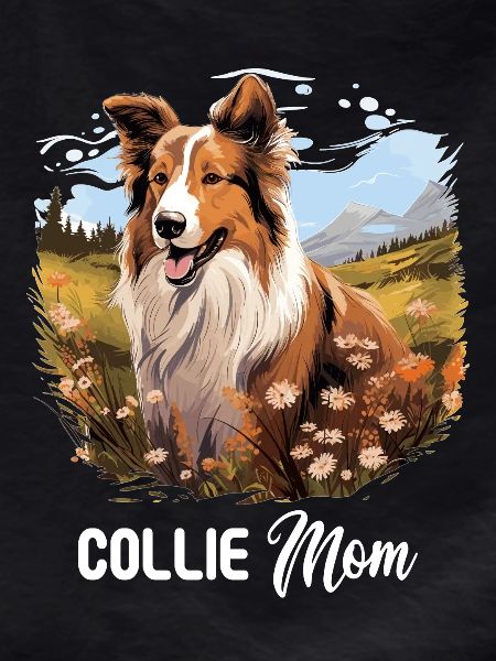 Dog Collie