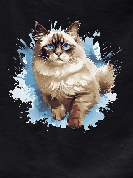 Ragdoll
