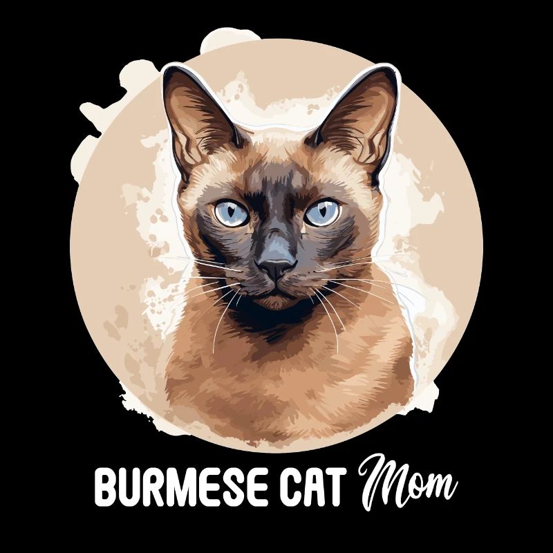 Burmese Cat Burma Katze