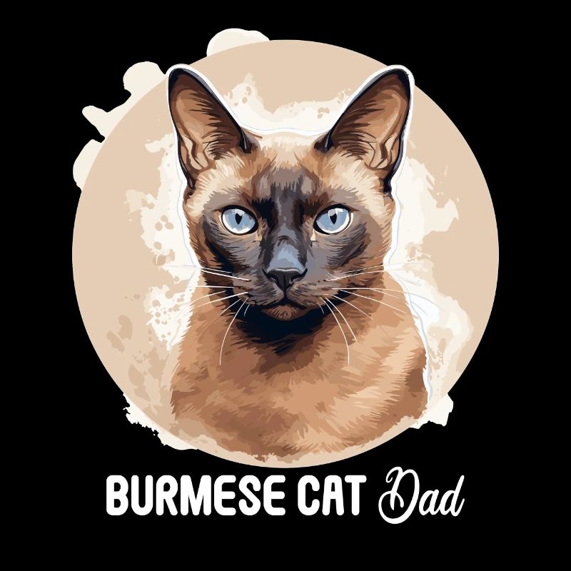 Burmese Cat Burma Katze