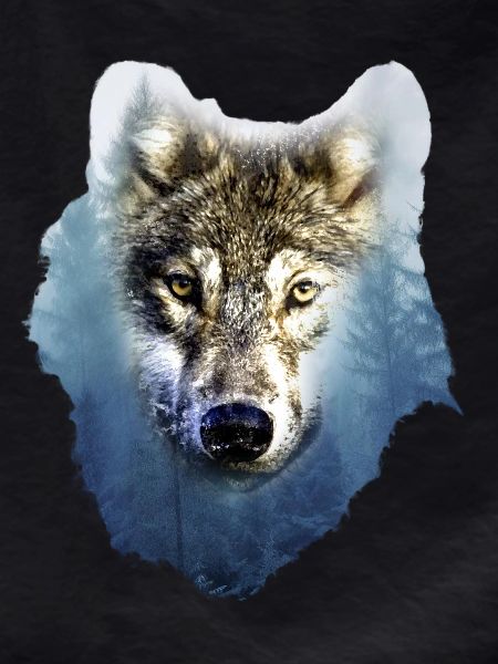 Loup