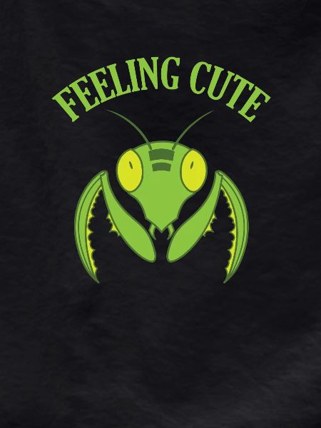 Feeling Cute Mantis