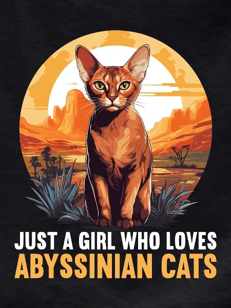 Abyssinian Cat Abessinierkatze