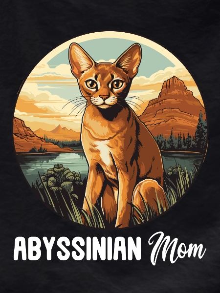 Abyssinian Cat Abessinierkatze