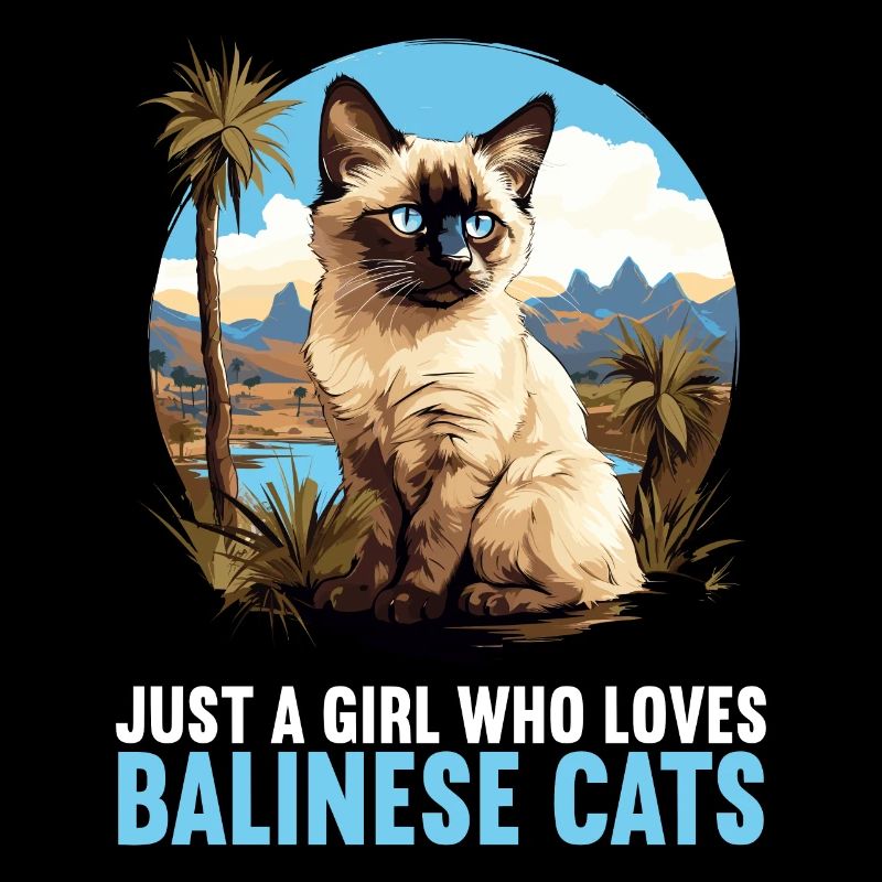 Balinese Cat Balinesenkatze