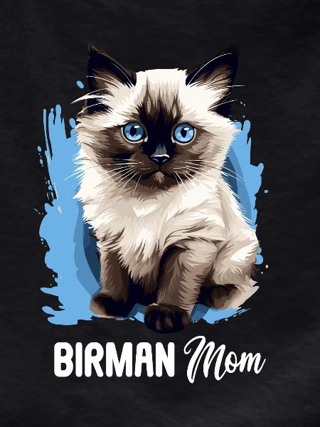 Birman Cat Birma Katze
