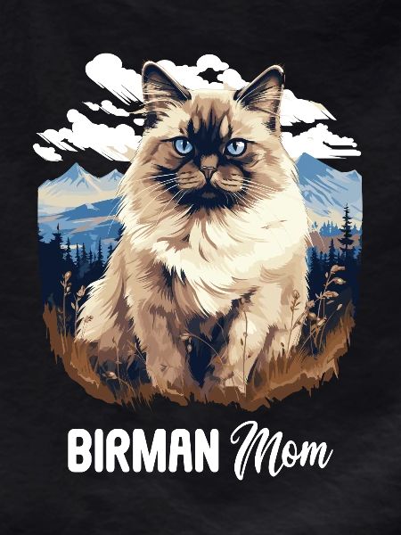 Birman Cat Birma Katze