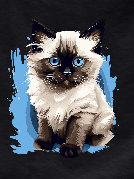 Birman Cat Birma Katze