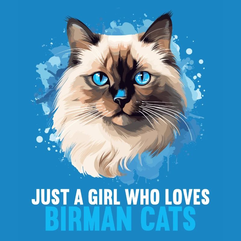 Birman Cat Birma Katze