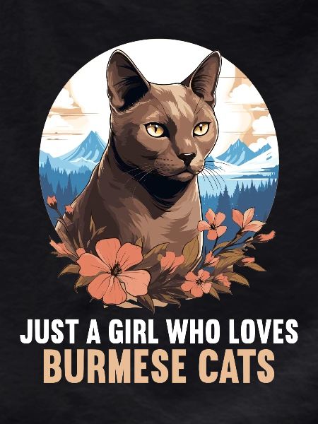 Burmese Cat Burma Katze