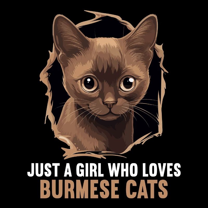 Chat birman Birmanie Katze