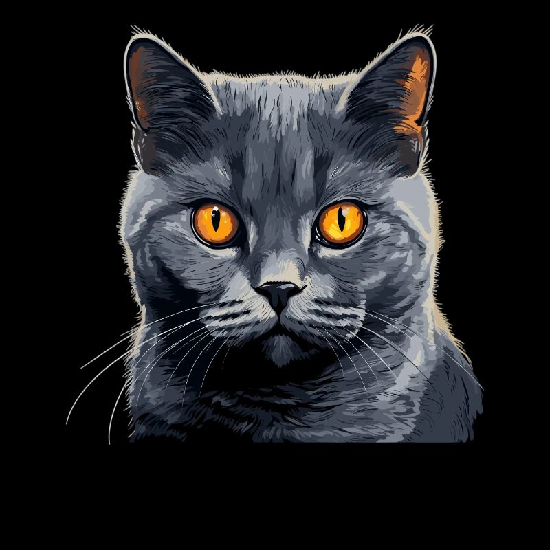 Chartreux Cat Carthusian Cat