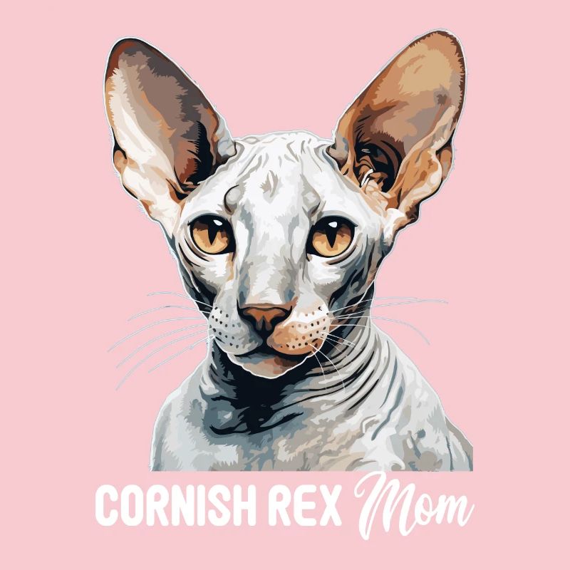 Cornish Rex Kätzchen Cornish Rex Katze