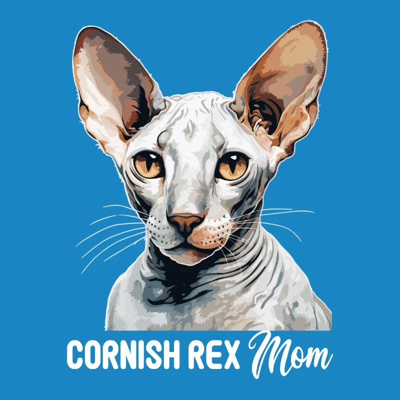Chaton Cornish Rex Chat Cornish Rex