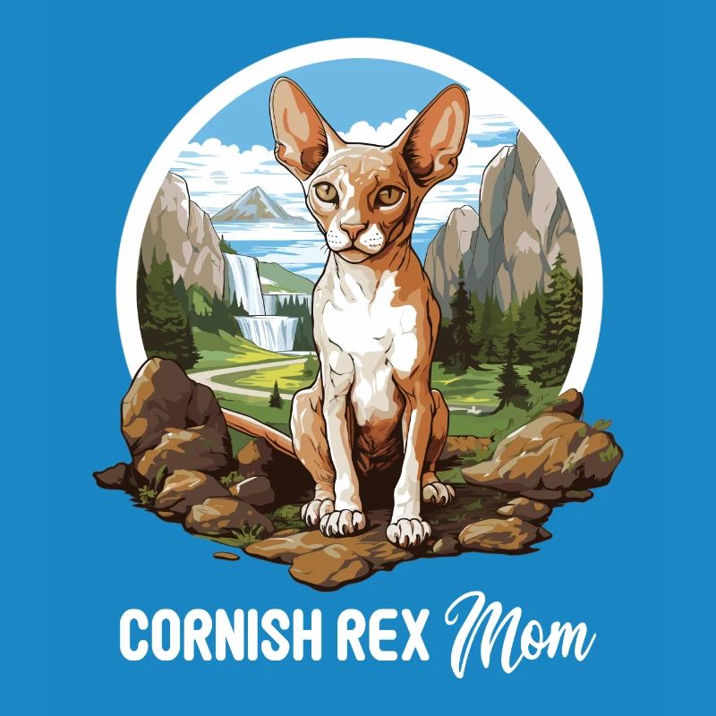 Chaton Cornish Rex Chat Cornish Rex