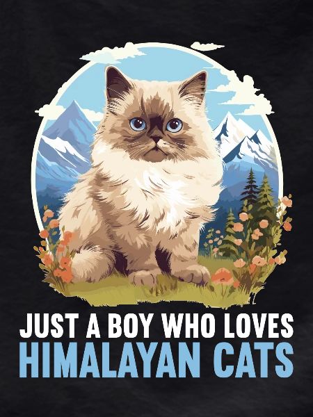 Himalayan Cat Colourpoint Katze