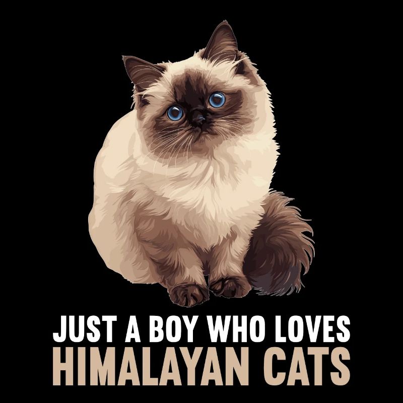 Himalayan Cat Colourpoint Katze