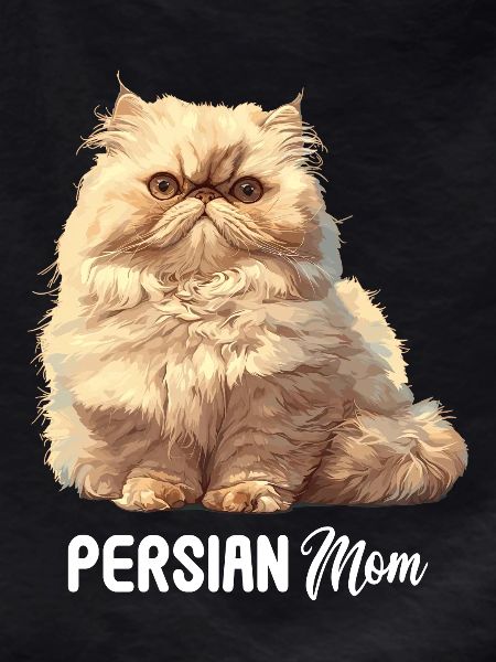 Persian Cat Perserkatze