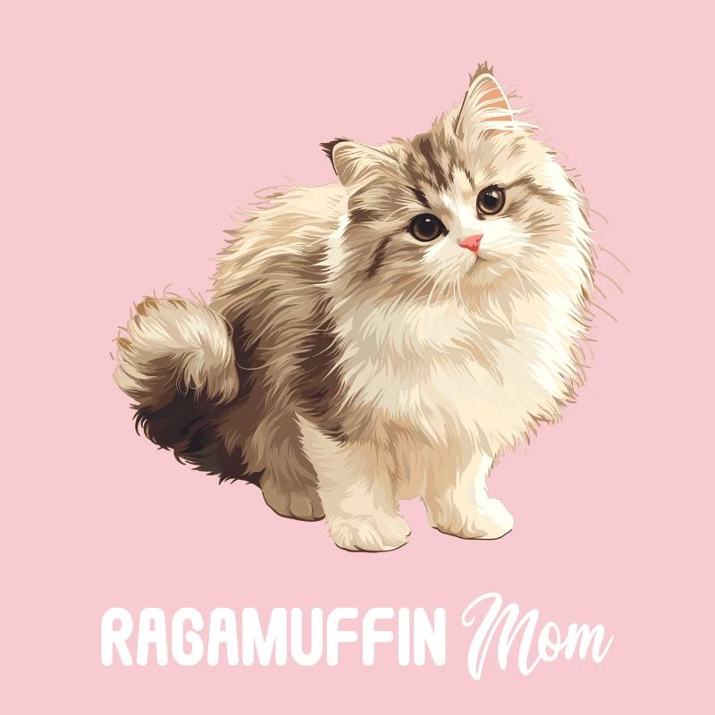 Ragamuffin Kätzchen Ragamuffin Katze
