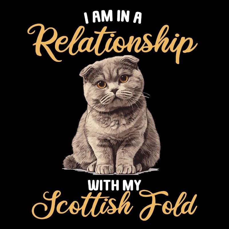 Scottish Fold Kitten Scottish Fold Cat