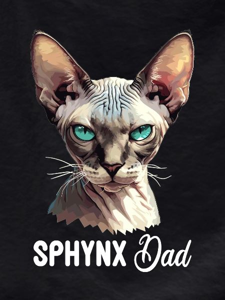 Sphynx Kitten Sphynx Cat