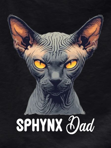Sphynx Kitten Sphynx Cat