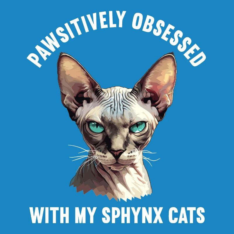 Chaton Sphynx Chat Sphynx