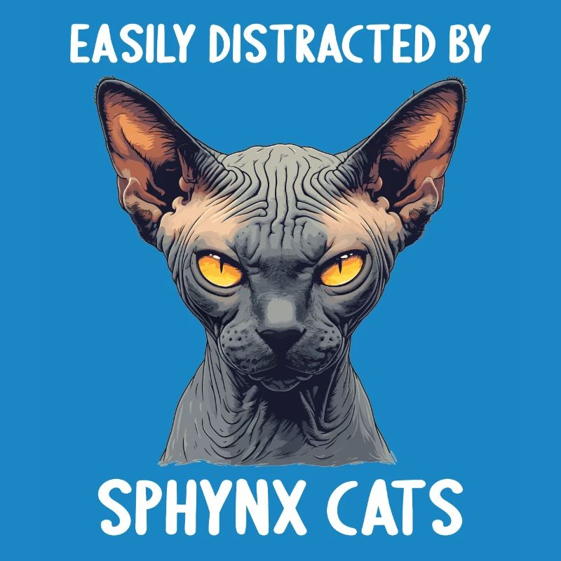 Chaton Sphynx Chat Sphynx