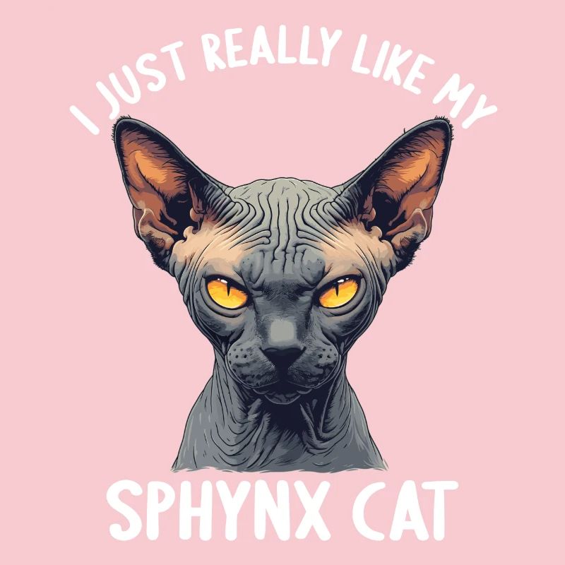 Chaton Sphynx Chat Sphynx