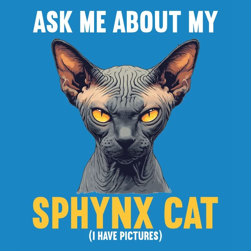 Chaton Sphynx Chat Sphynx