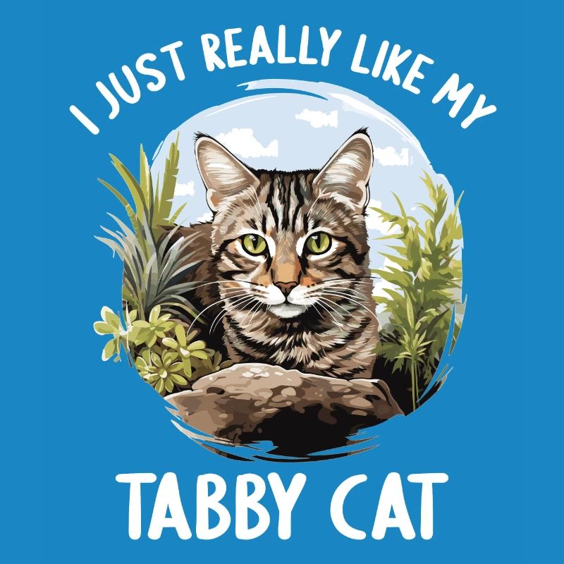 Tabby Kätzchen Tabby Katze