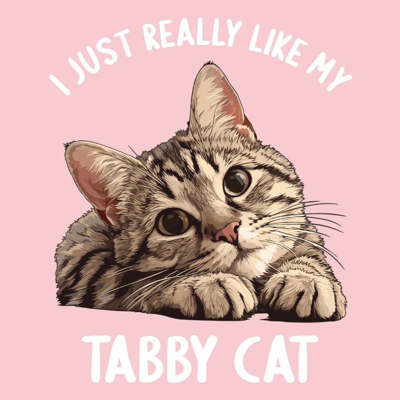 Tabby Kätzchen Tabby Katze