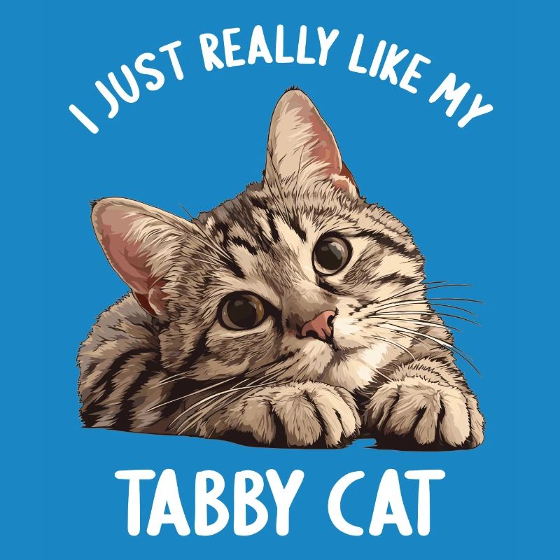 Tabby Kitten Tabby Cat