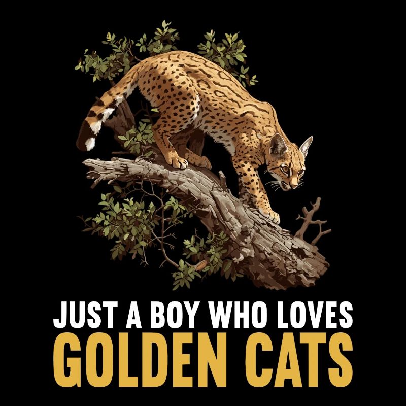 Chats dorés Chat doré