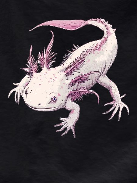 Axolotl