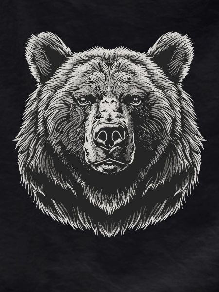 Bear Bären Bär