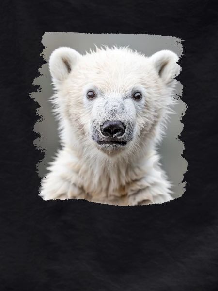 Polar Bear Eisbären Eisbär