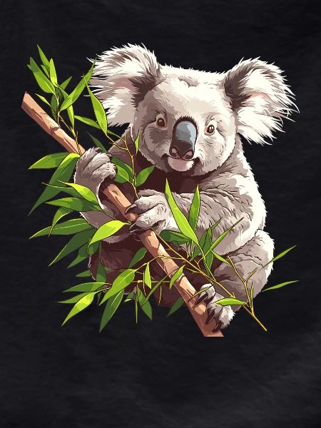 Koalas Koala