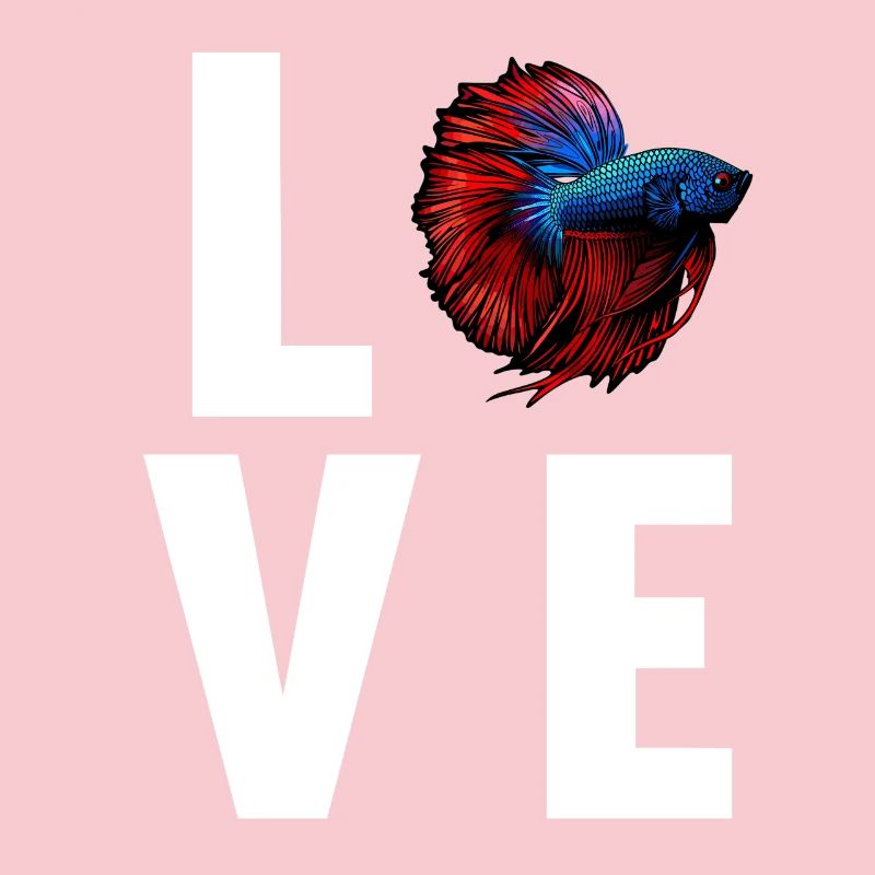Bettas Betta Fish Betta