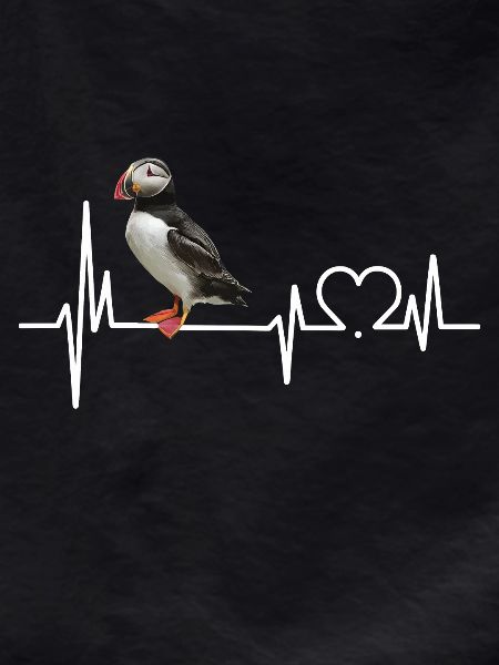 Puffin
