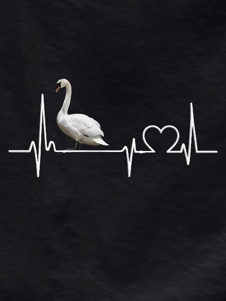 Swan