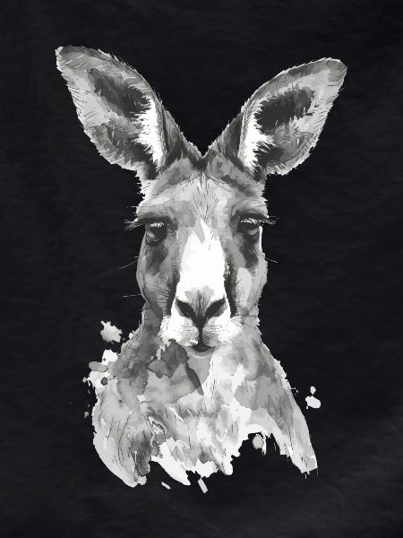 Kangaroo