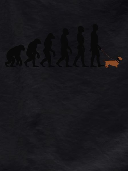 Dachshund