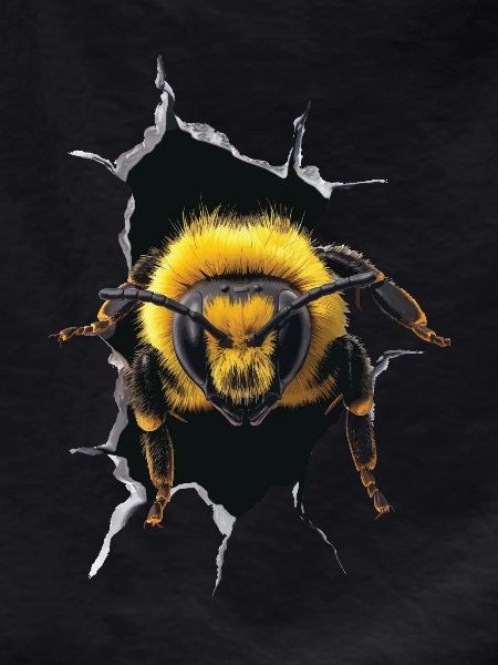 Bee