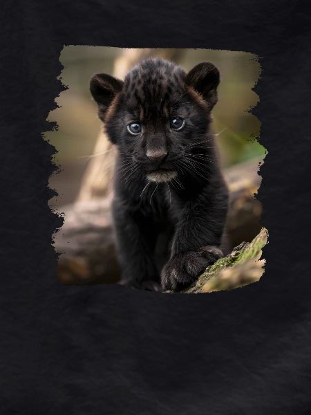 Panthers Panther