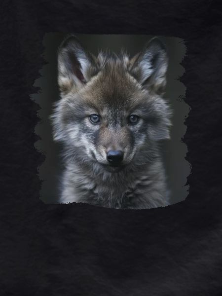 Wolves Wolf