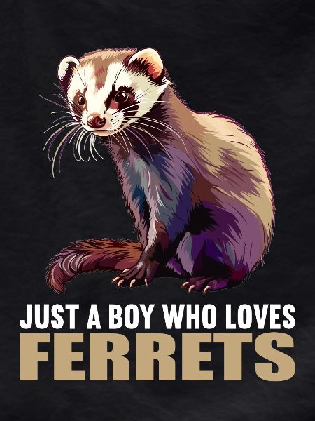 Ferret Frettchen