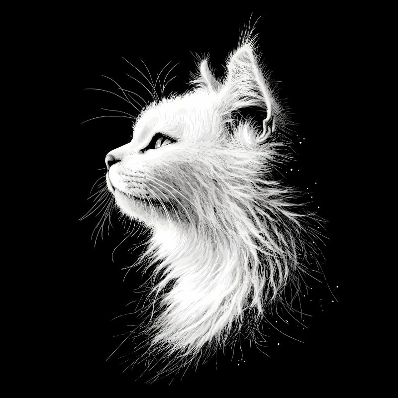 Chat Angora Blanc Chat Angora Chats Angora Mignons