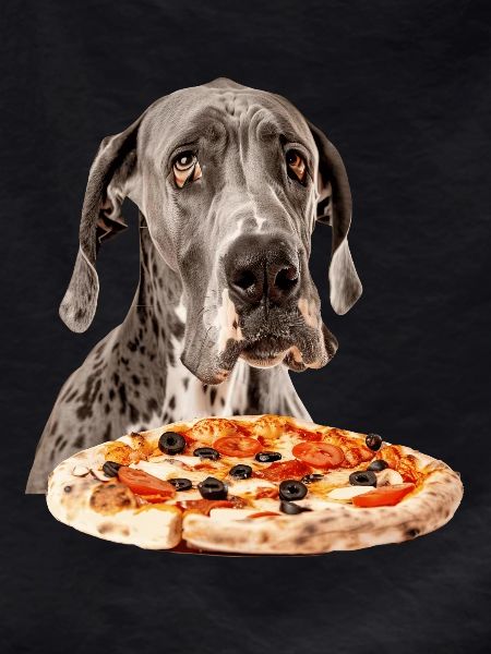 Great Dane
