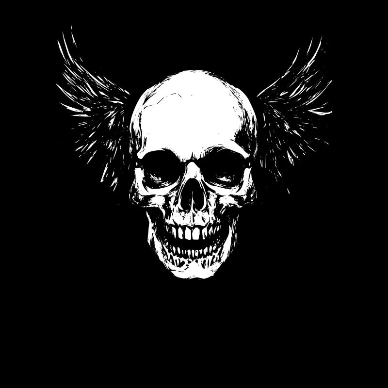 Crâne avec des ailes pour motards – Grunge Design